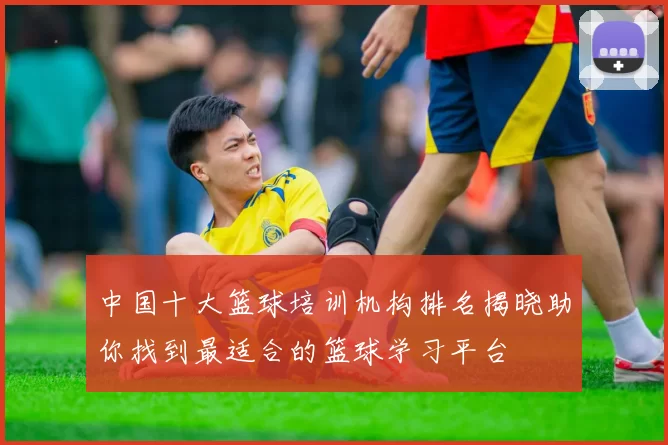 中国十大篮球培训机构排名揭晓助你找到最适合的篮球学习平台
