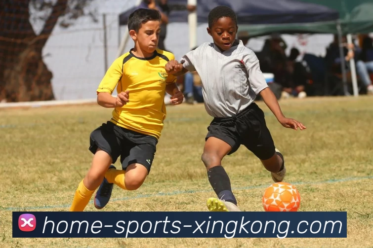 App Interface Preview