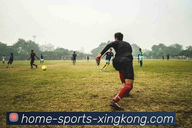 星空体育APP 封面图